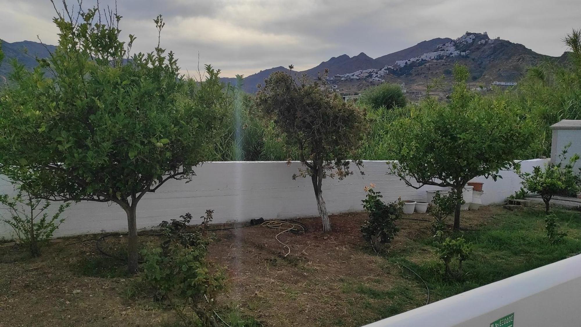 Studios Αγκυρα Λιβάδι Δωμάτιο φωτογραφία